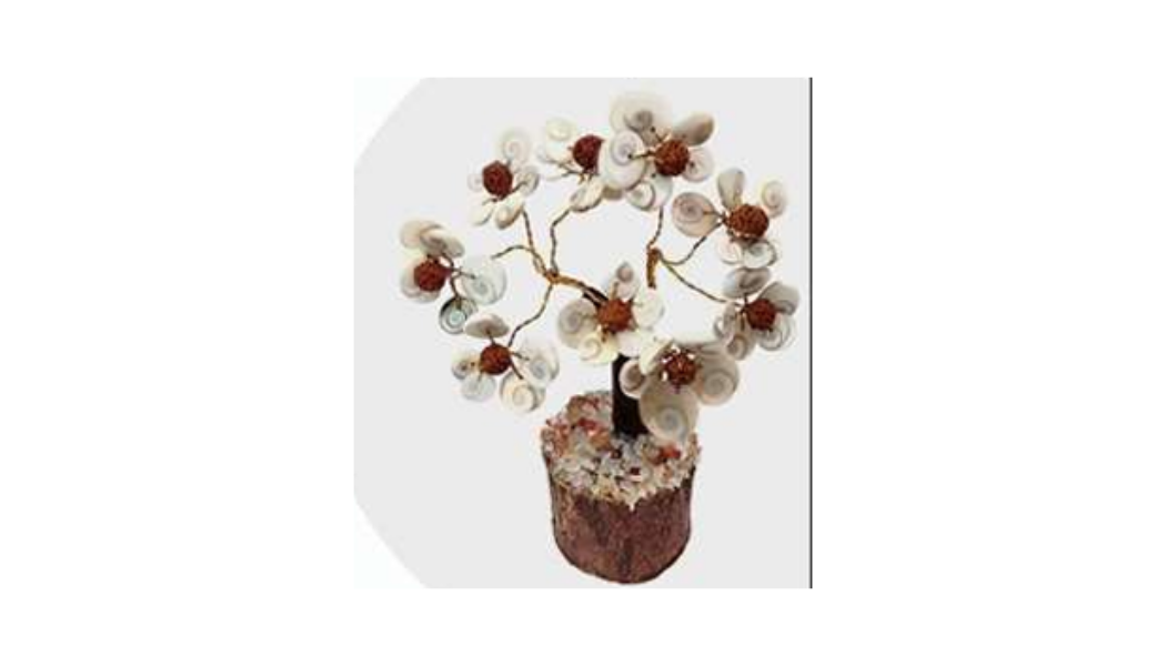 Gomati Chakra + Rudraksh Tree