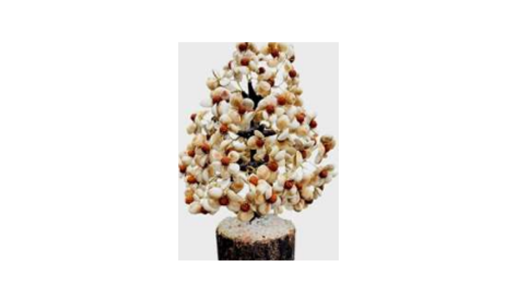 Gomati Chakra + Rudraksh Tree (600 beads)